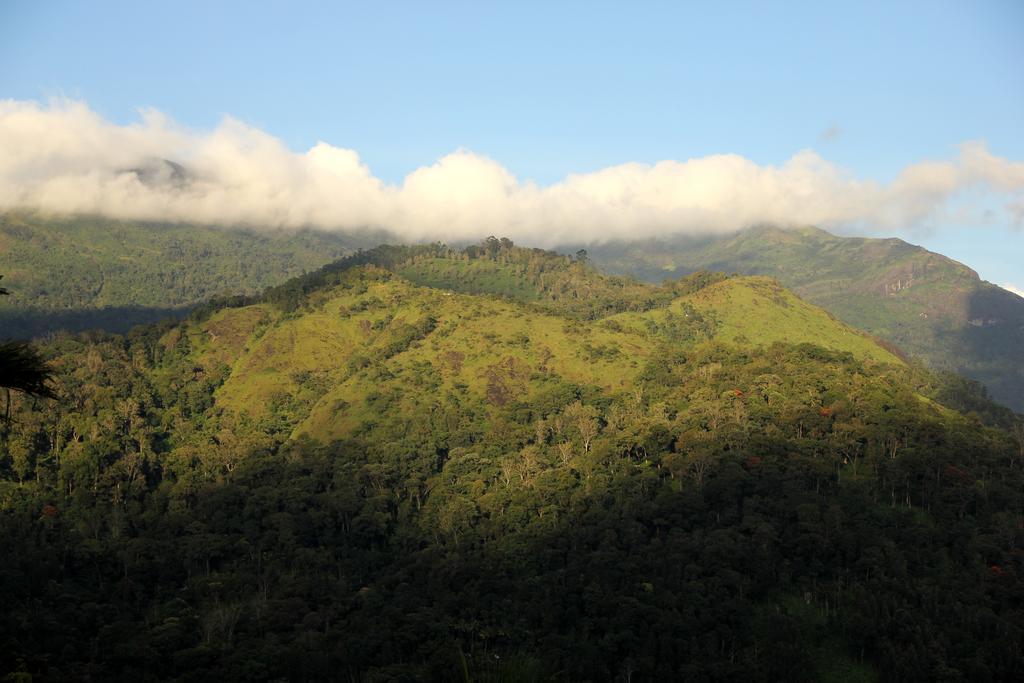 Ecotones Munnar By Eden Environs Otel Dış mekan fotoğraf
