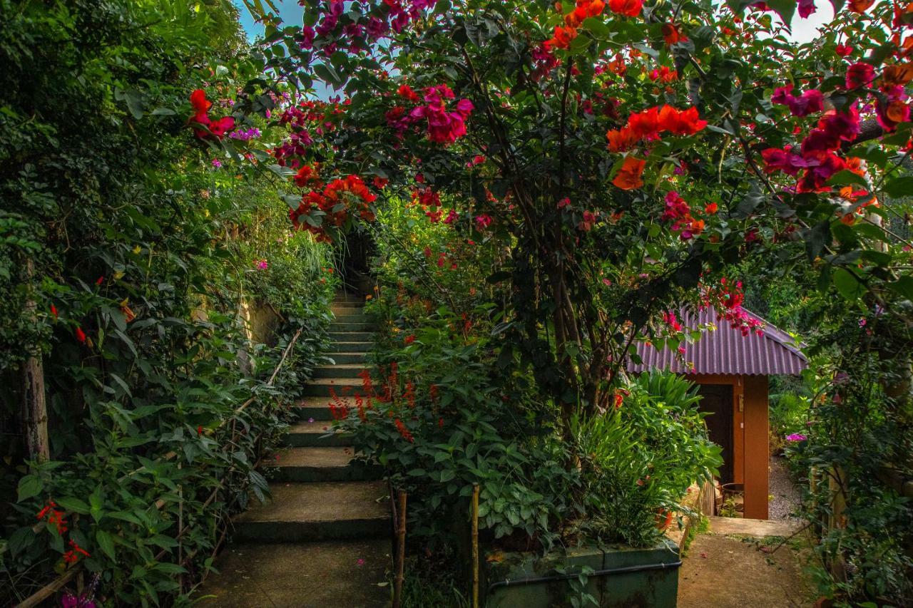 Ecotones Munnar By Eden Environs Otel Dış mekan fotoğraf