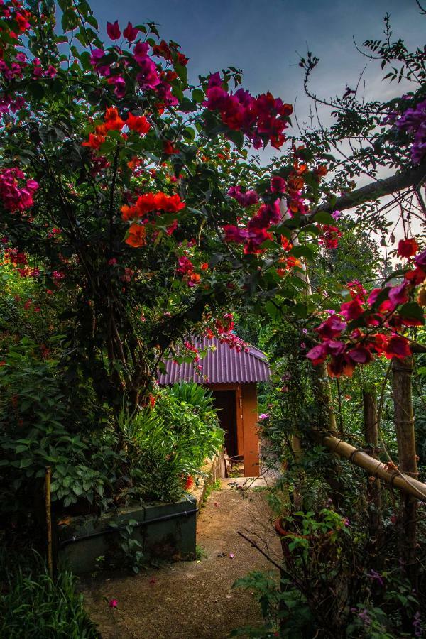 Ecotones Munnar By Eden Environs Otel Dış mekan fotoğraf