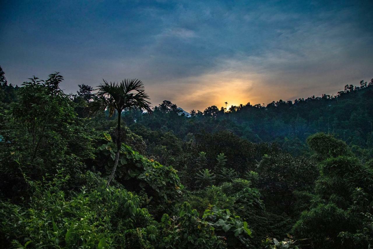 Ecotones Munnar By Eden Environs Otel Dış mekan fotoğraf